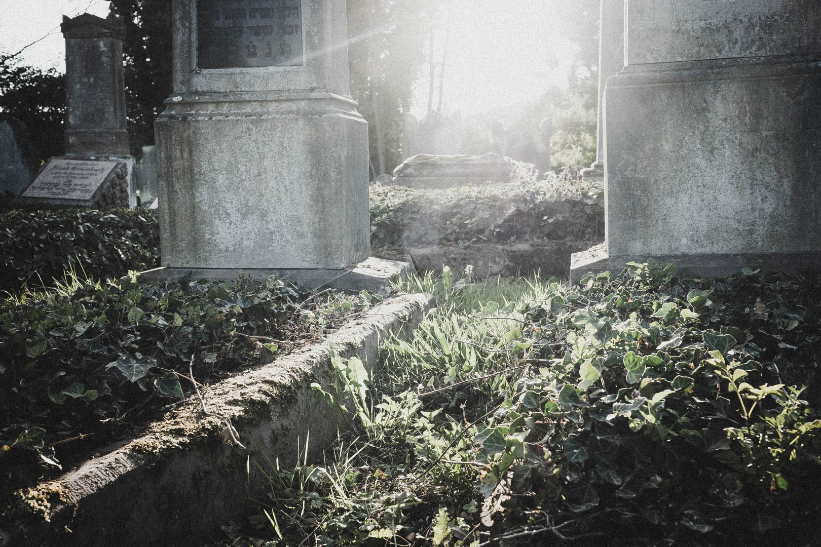 Beverungen, Jüdischer Friedhof